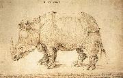 Albrecht Durer Rhinoceros oil on canvas